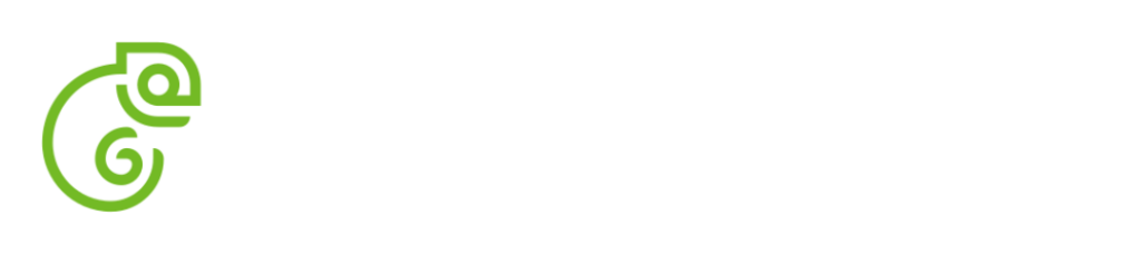 The Geeko Foundation Logo